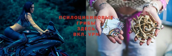 ешки Михайловка