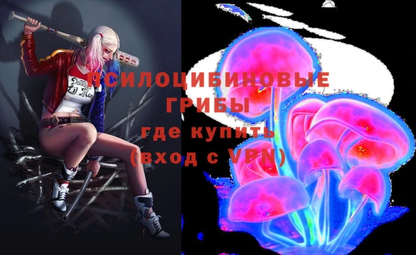 мдпв Абдулино